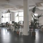 Office - Green Leafed Plants