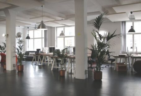 Office - Green Leafed Plants