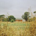 Sunburned Country - Cabin in the countryside